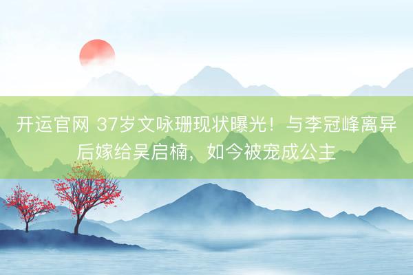 开运官网 37岁文咏珊现状曝光！与李冠峰离异后嫁给吴启楠，如今被宠成公主