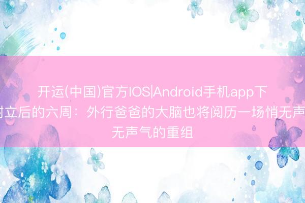 开运(中国)官方IOS|Android手机app下载 孩子树立后的六周：外行爸爸的大脑也将阅历一场悄无声气的重组