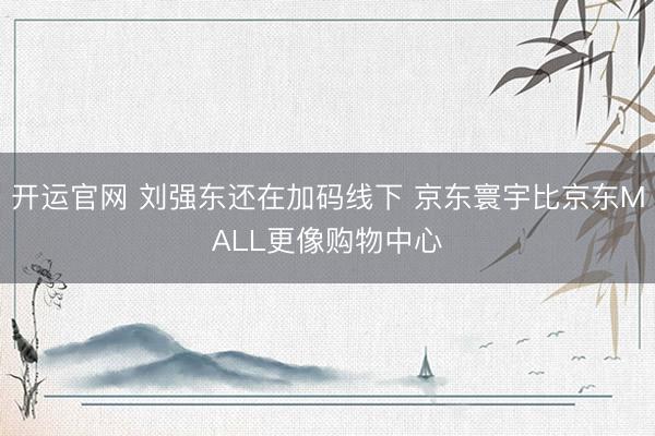 开运官网 刘强东还在加码线下 京东寰宇比京东MALL更像购物