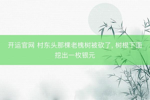 开运官网 村东头那棵老槐树被砍了， 树根下面挖出一枚银元
