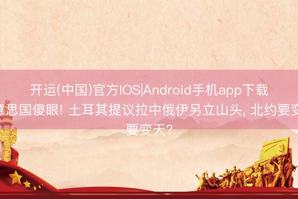 开运(中国)官方IOS|Android手机app下载 好意思国傻眼! 土耳其提议拉中俄伊另立山头， 北约要变天?